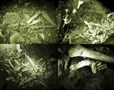 2014e_NEWS-Cac-Co-Cave_114x90