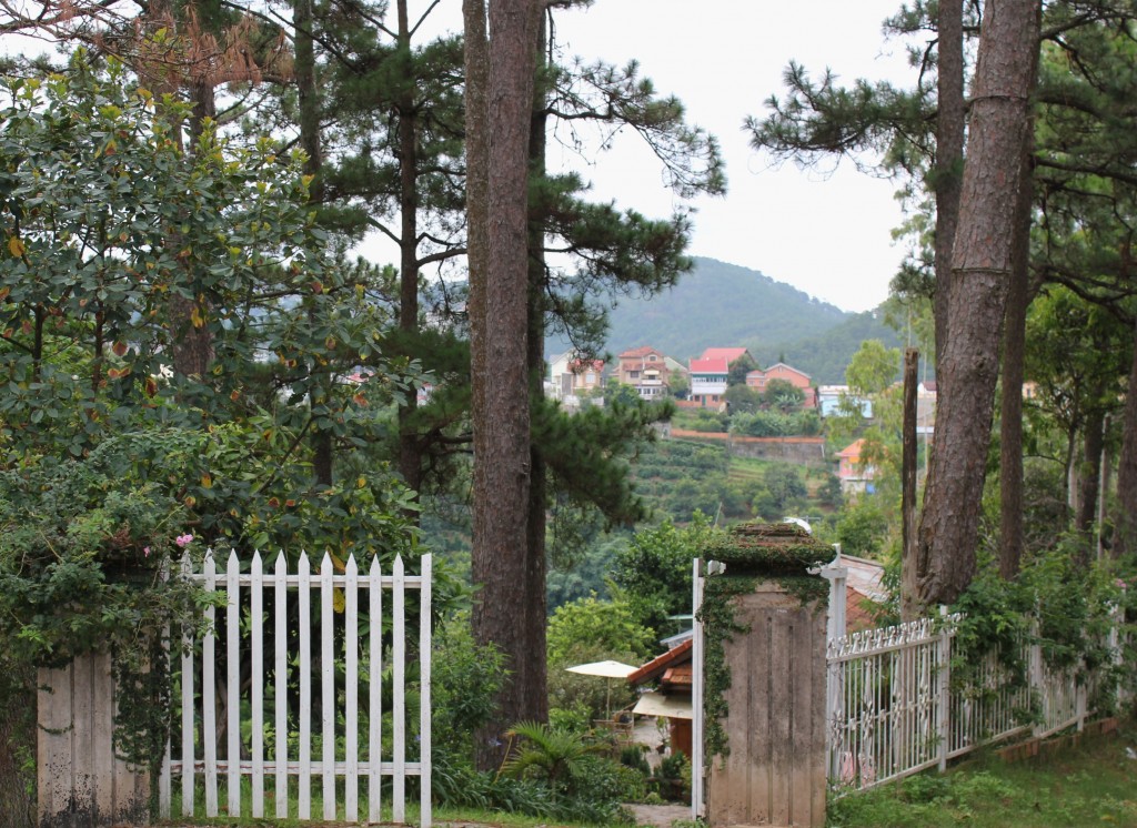Photo: Anvi Hoàng.