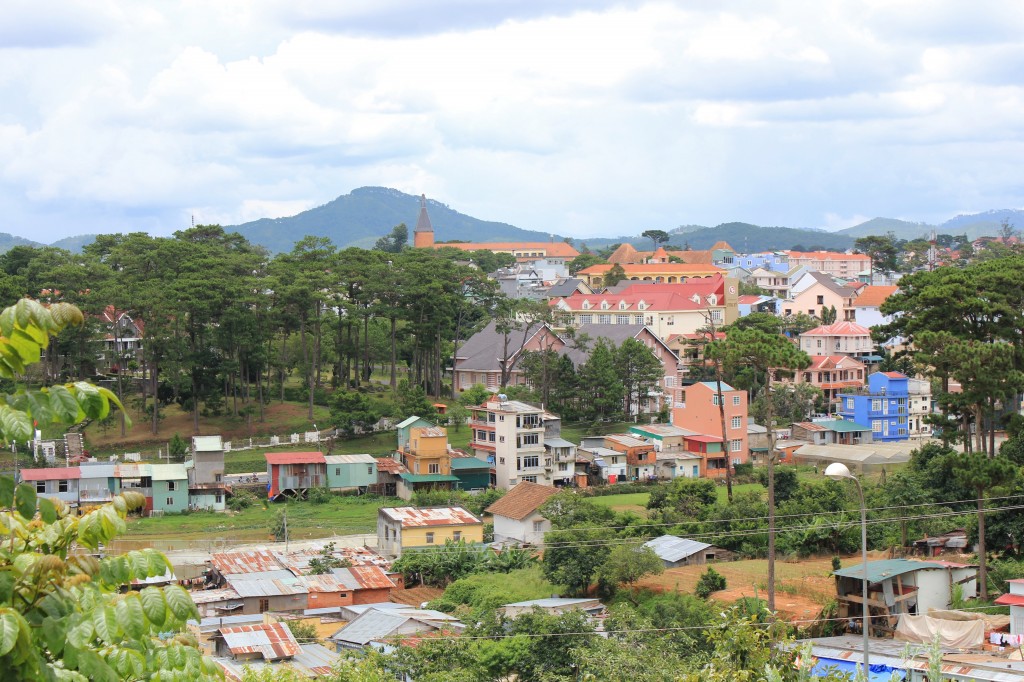 Cảnh đẹp trên đường đi - Great find along the walking trail. Photo: Anvi Hoàng.