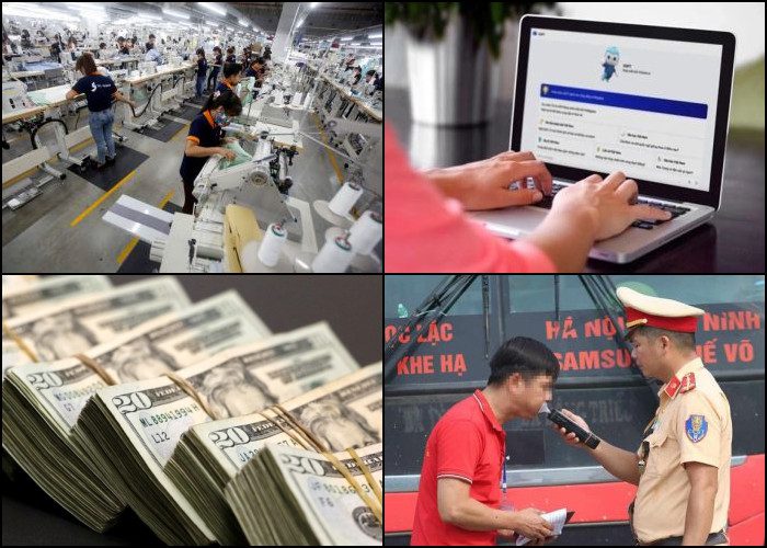 2023 DEC News Featured Image