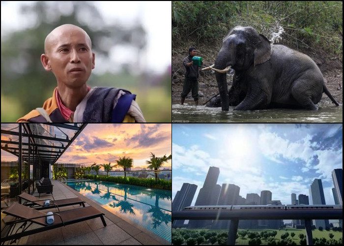 2024 NOV NEWS Featured Image_